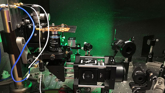 Diamond Nuclear Magnetic Resonance Spectroscopy
