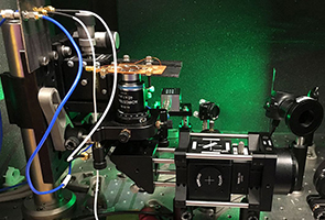 Diamond Nuclear Magnetic Resonance Spectroscopy
