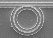 SEM image of Kerr-microresonator